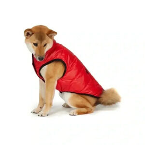 Pajar Pup Duff reversible XL puffer jacket